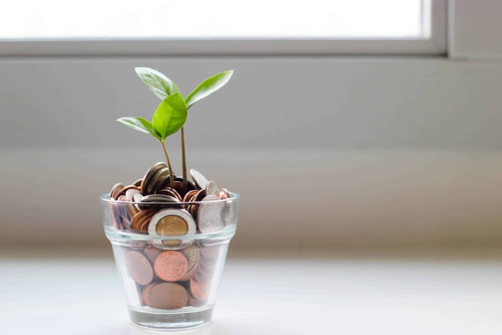 Tips on Investing Your Hard Earned Cash- Money with a Plant Growing From It