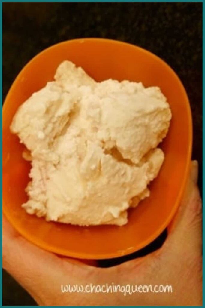 A hand holding an orange bowl filled with scoops of vanilla ice cream. The text "www.WilThink.com" is visible at the bottom of the image, providing a delightful homemade ice cream recipe.