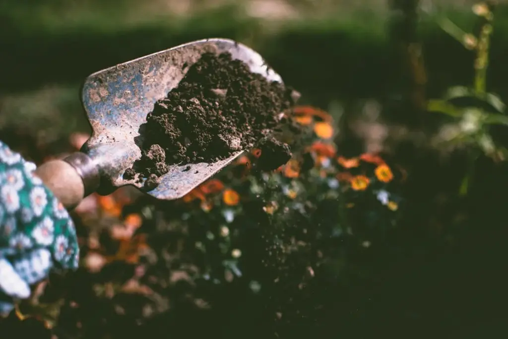 A close-up of a hand holding a small gardening shovel filled with soil, with orange and yellow flowers in the blurred background—reminding you that sometimes the best things you're paying for but can get for free are right in your backyard.