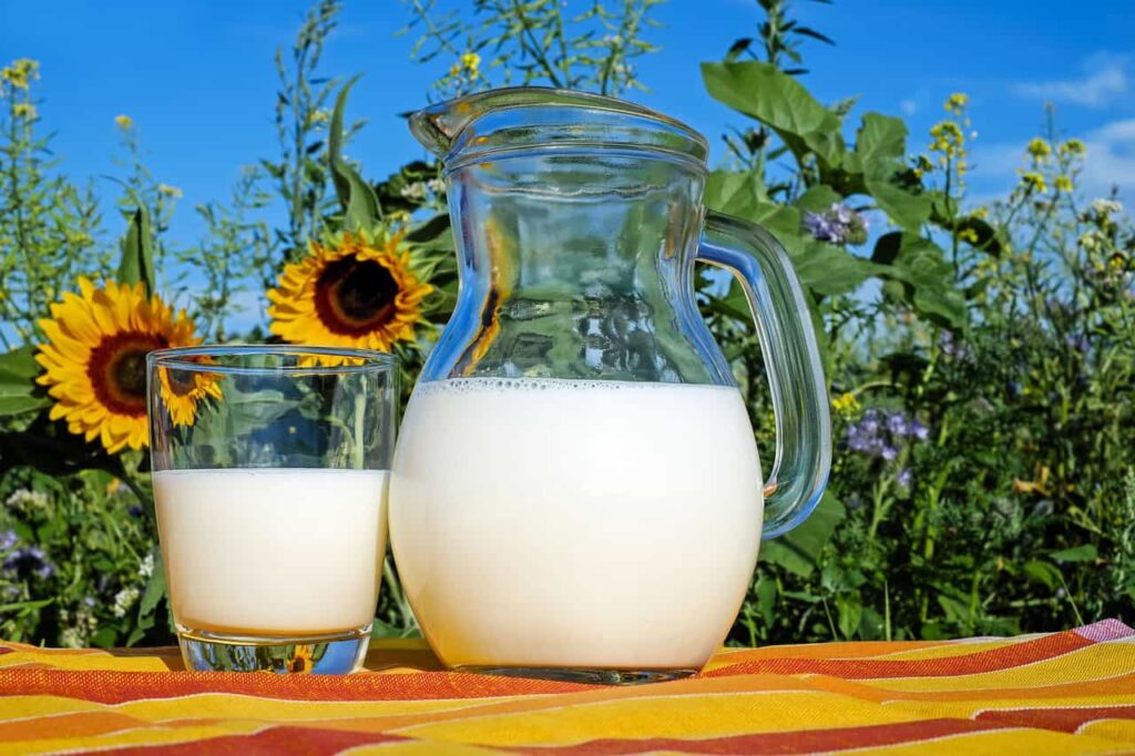 A glass and a pitcher of milk sit on a striped cloth, with sunflowers and green plants in the background.
