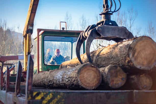 A worker operates a logging machine with a claw attachment, placing large logs onto a truck bed in a forested area.