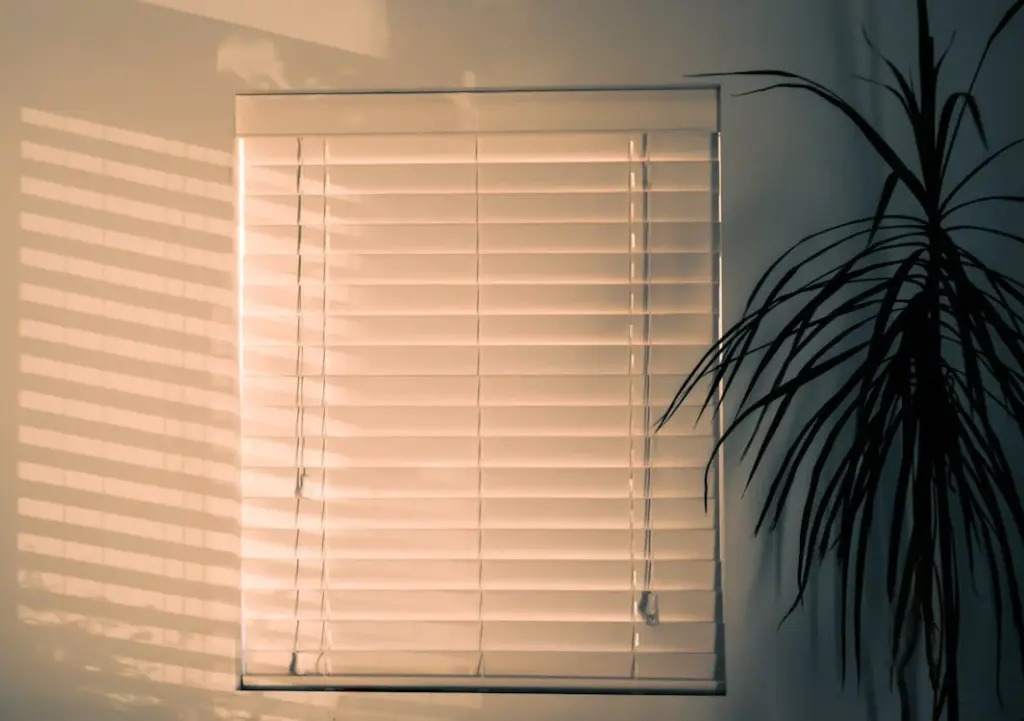 A window with closed blinds casting striped shadows on a wall, next to a tall, slender plant.