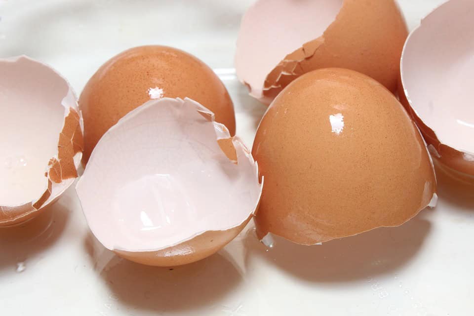 Close-up of several brown egg shells that have been cracked open, placed on a white surface. The inside of the shells is visible, showing a white interior.