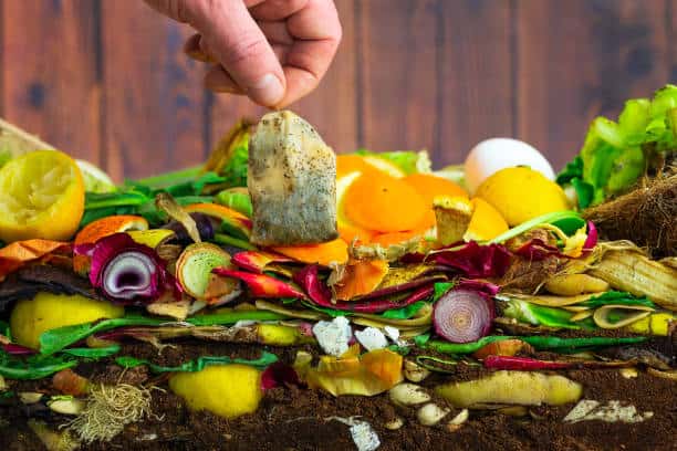 A hand holds a used teabag over a compost pile containing various food scraps including fruit peels, vegetable cuttings, and an eggshell.