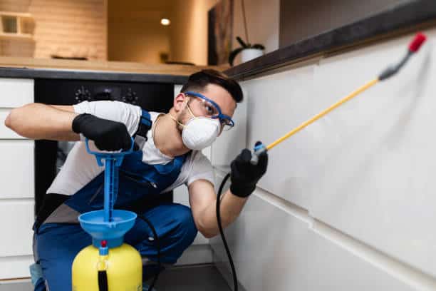 Person wearing protective gear spraying pesticide under a kitchen counter.