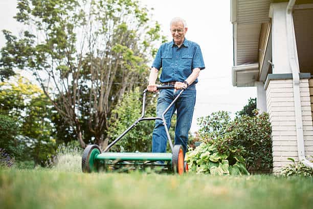 An elderly man wearing glasses, a blue shirt, and jeans is pushing a manual lawn mower on the grass in a residential yard with plants and shrubs nearby.