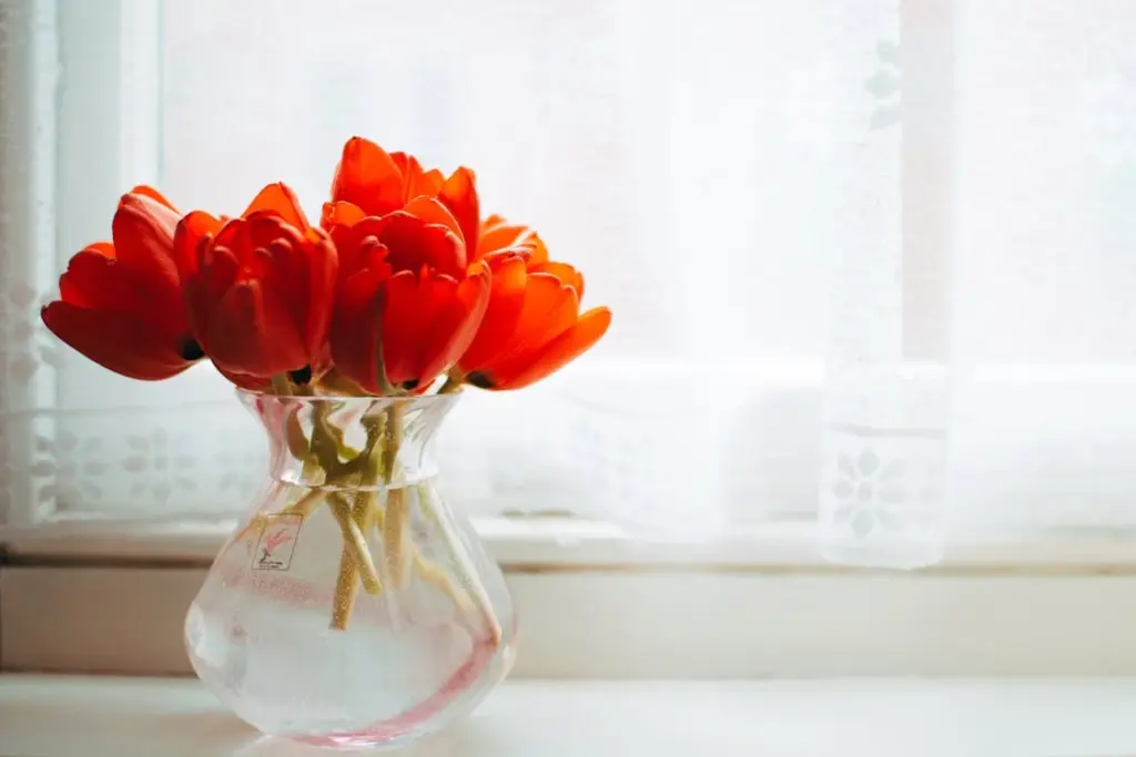 A clear vase with red tulips is placed on a windowsill. The background is a white curtain with a floral pattern.