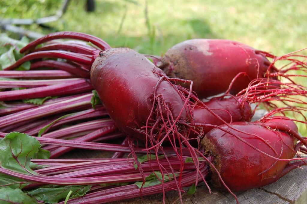 Freshly harvested beets lying on a wooden surface with green leaves still attached, against a grassy background.