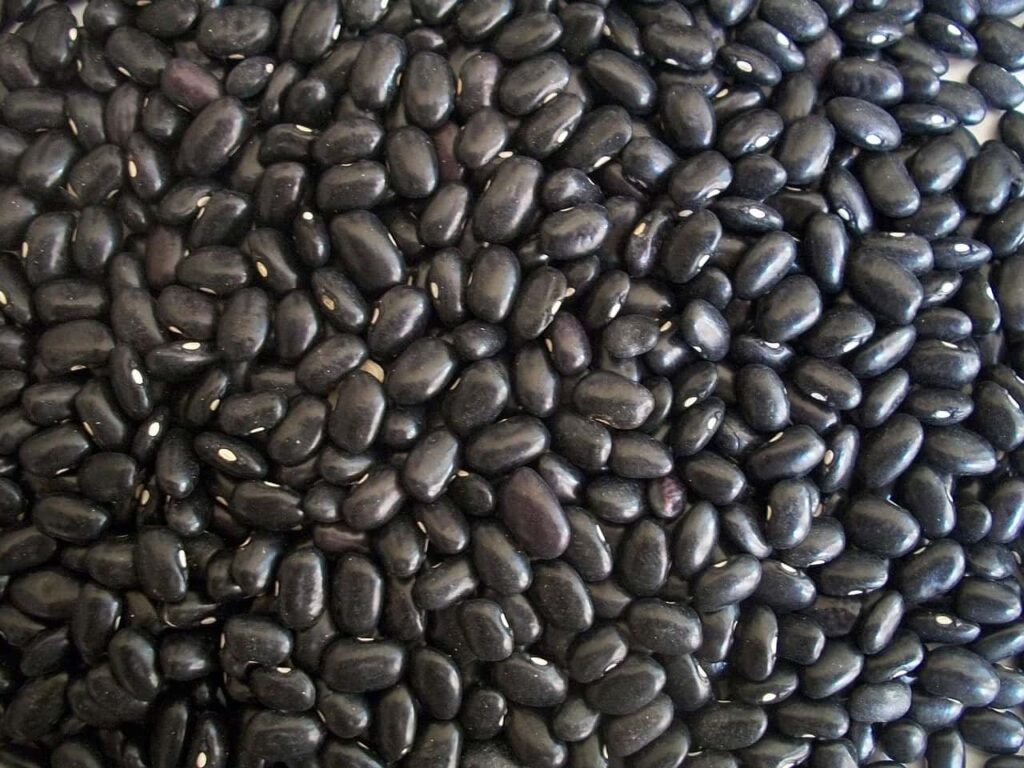 A close-up of a large pile of black beans.