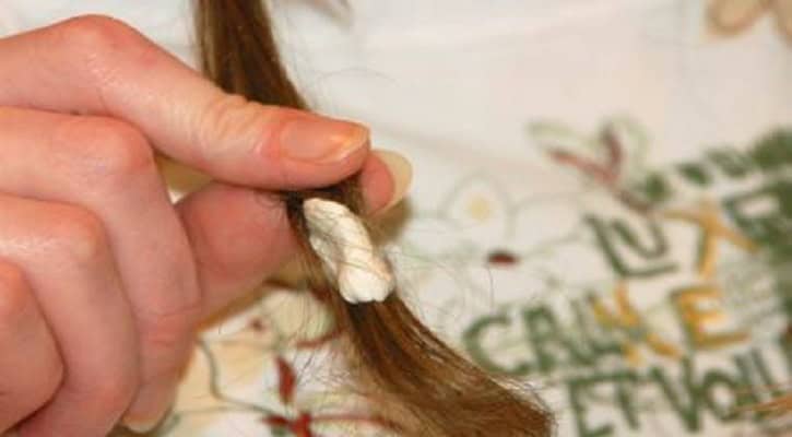 A hand holding a strand of brown hair with a piece of chewing gum stuck to it.
