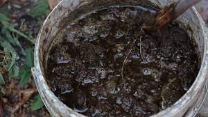 A white bucket filled with murky, dark liquid and plant debris, with a stick partially submerged in the mixture.