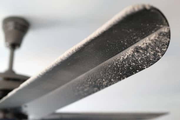 Close-up of a ceiling fan blade covered in dust against a blurred background.