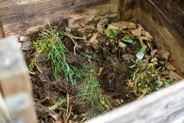 A wooden bin filled with composting materials, including grass, leaves, and food scraps.