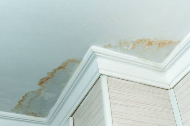 Discolored water stains on the ceiling near a corner with crown molding.