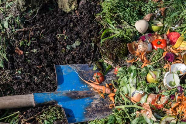 A blue shovel is placed beside a pile of compost with organic waste including fruits, vegetables, and eggshells.