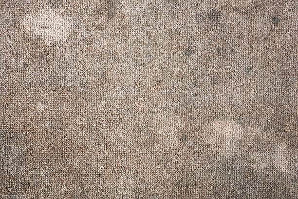 A close-up of a worn and stained beige carpet with visible discoloration and texture variations.