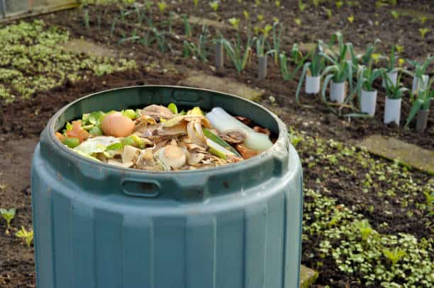 A green compost bin in a garden filled with kitchen waste including vegetable peels, eggshells, and other organic matter, with garden beds in the background.