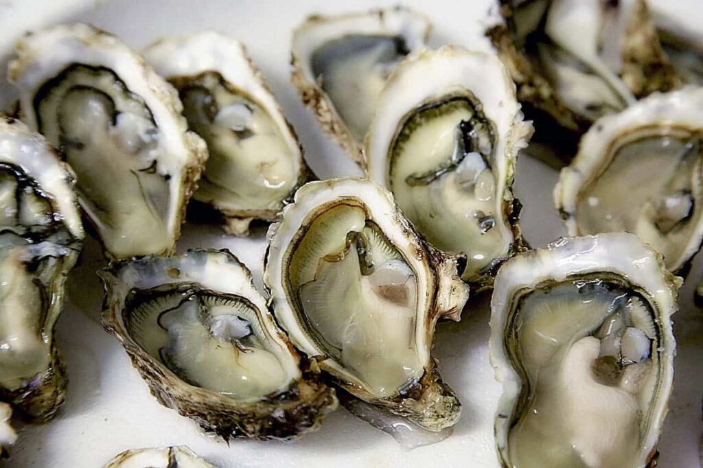A plate filled with opened oyster shells, showing the raw oysters inside.