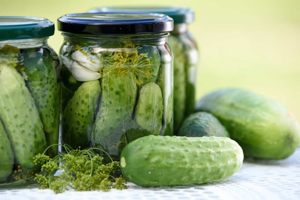 Jars filled with pickles placed on a table alongside fresh cucumbers and sprigs of dill.