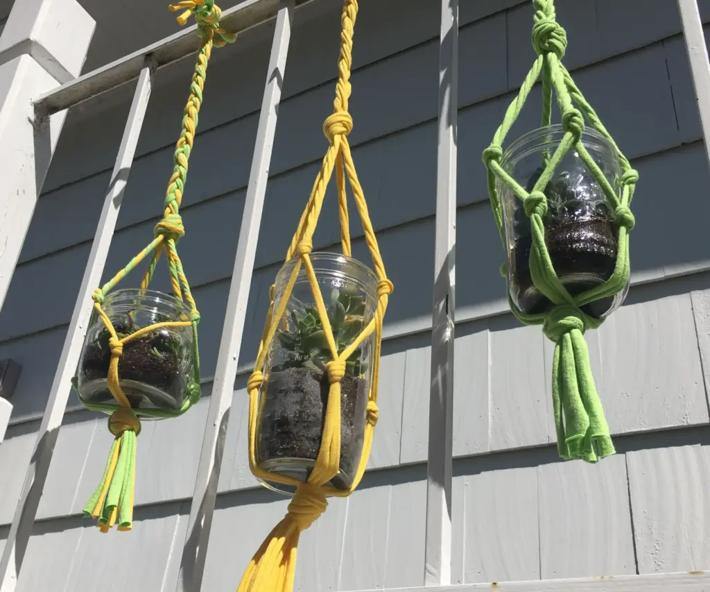Three glass jars with plants are hanging from a wooden structure using yellow and green macrame.