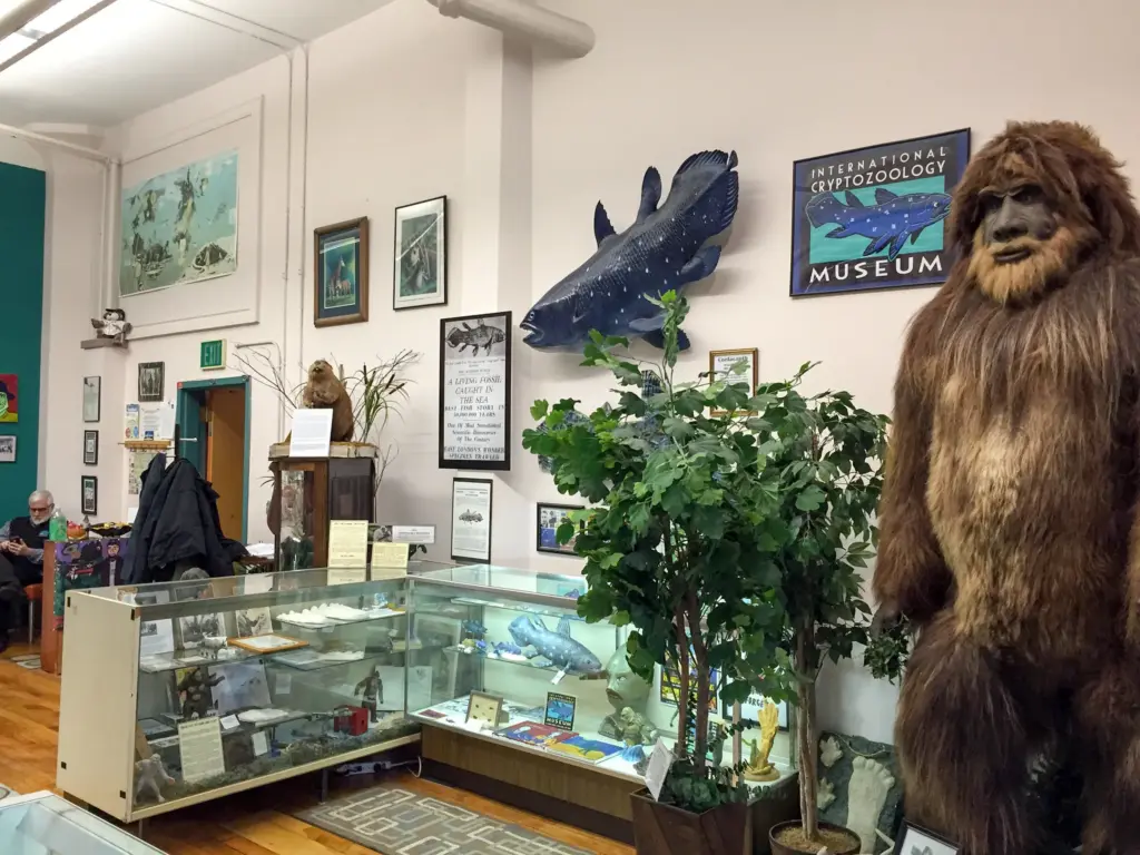 Museum interior with cryptozoology exhibits, including a large Bigfoot figure, display cases, and wall-mounted fish model. A man sits reading in the corner.