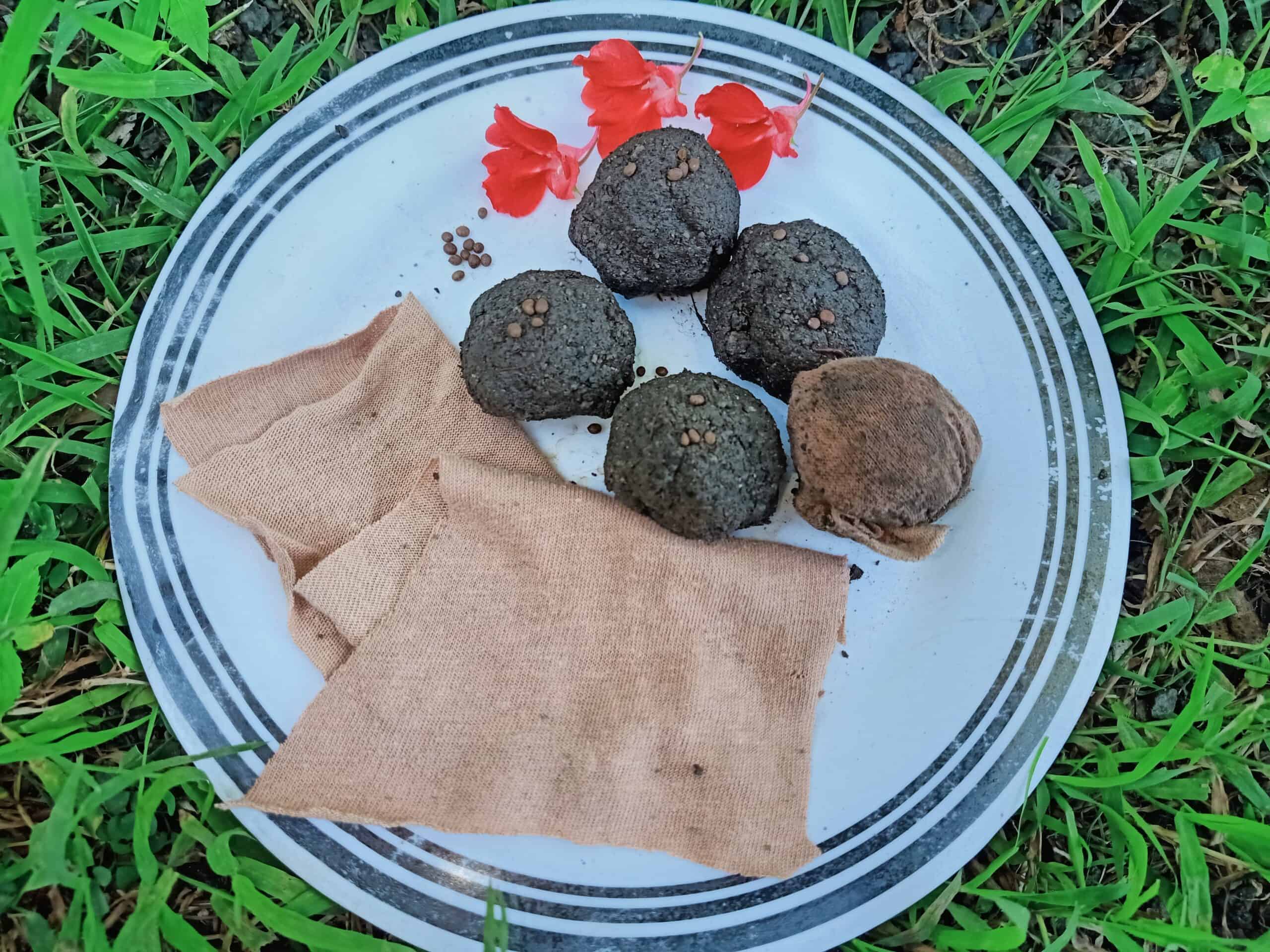 A plate with four black seed balls, brown cloth, red flowers, and scattered seeds on grass.