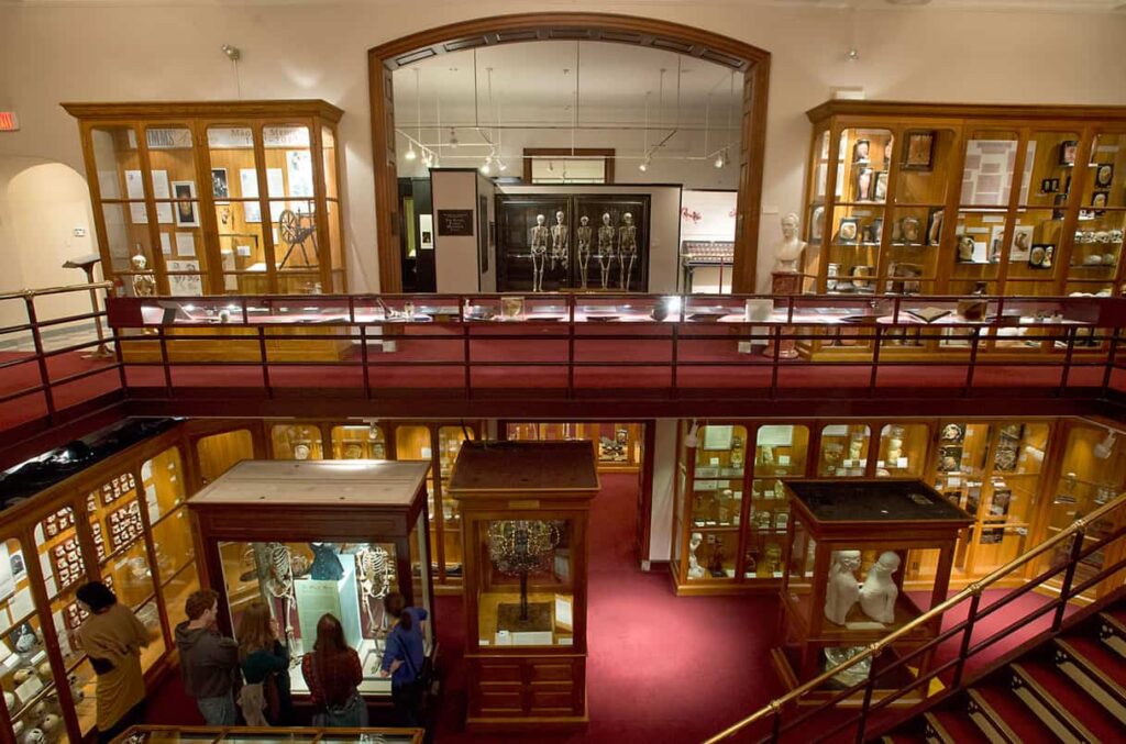 People exploring a museum exhibit with wooden display cases, showcasing various historical artifacts on two levels.