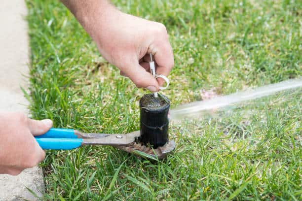 Person adjusting a sprinkler head using a metal tool in a grassy area.