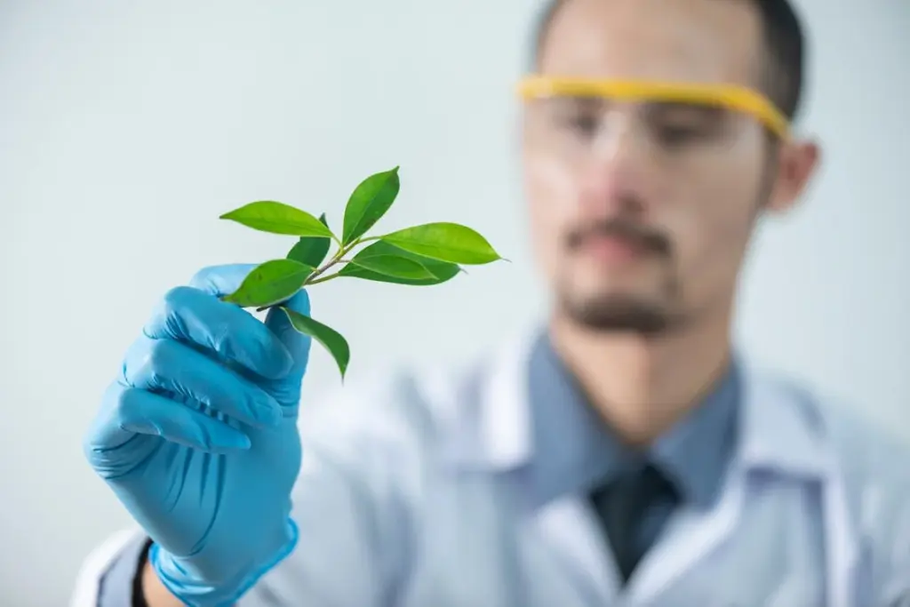 A scientist in a lab coat and safety glasses examines a small green plant, holding it with blue-gloved hands.
