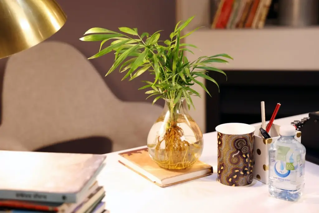 A desktop with a vase of green plant, books, a patterned paper cup holding pens, a bottle of water, and a stylish chair in the background.