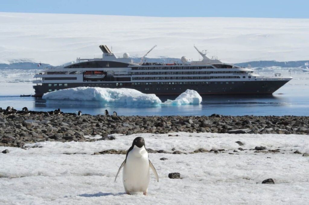 A penguin stands on snow with a large cruise ship and icebergs in the background.