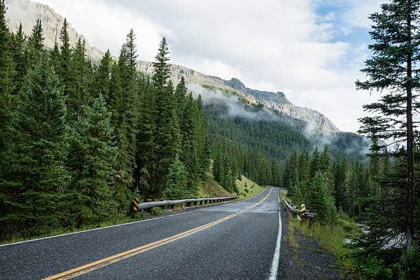 A winding road leads through a dense forest with mountains in the background under a cloudy sky.