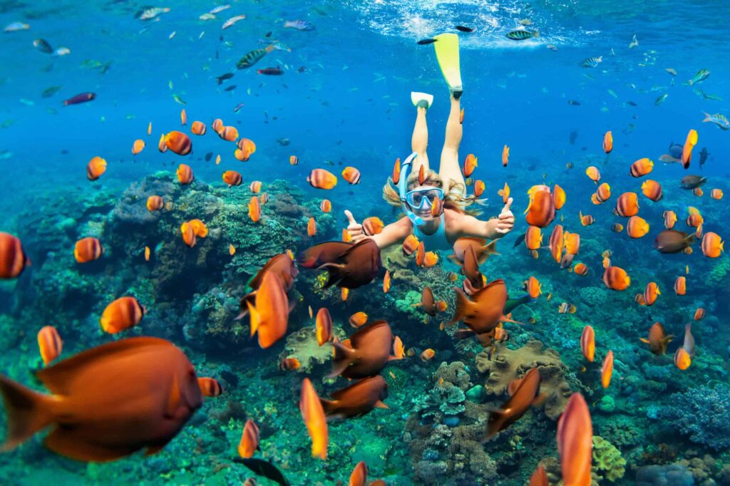 Person snorkeling underwater, surrounded by colorful fish and coral in clear blue water.
