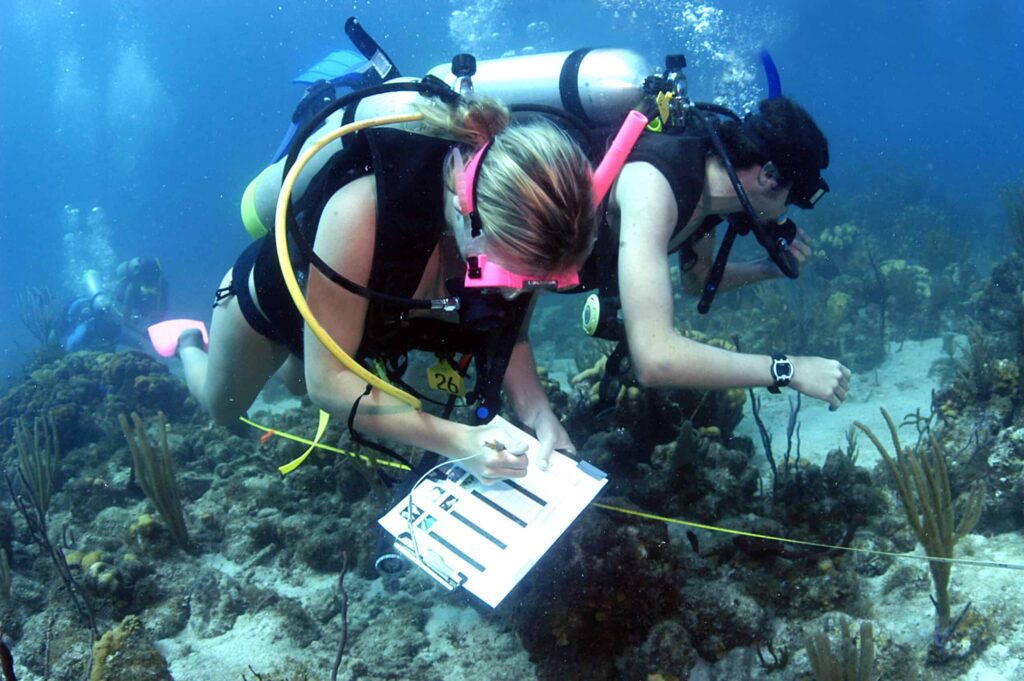 Two scuba divers conduct underwater research, taking notes on a clipboard near coral in a clear blue ocean.