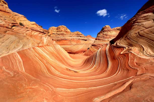 The image shows the Wave, a sandstone rock formation with swirling red and orange layers, under a clear blue sky.