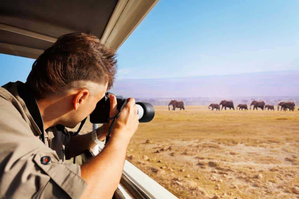A person photographs a group of elephants from a vehicle in a grassy landscape under a clear blue sky.