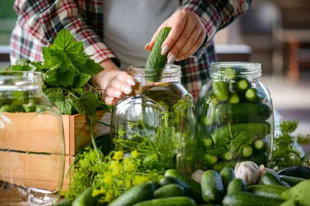 Person placing cucumbers into glass jars for pickling, surrounded by fresh cucumbers, herbs, and garlic on a table.