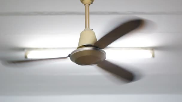 Ceiling fan with three blades spinning, mounted on a white ceiling with a fluorescent light in the background.