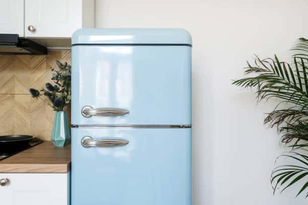 A light blue vintage refrigerator stands in a kitchen with a wooden counter, a teal vase with flowers, and a nearby green potted plant.